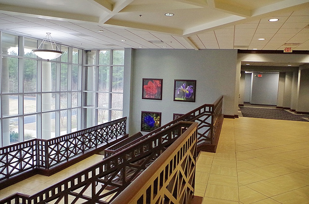 1171g24