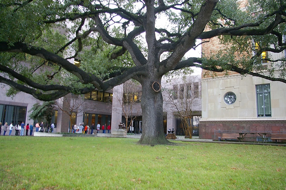 0125t14