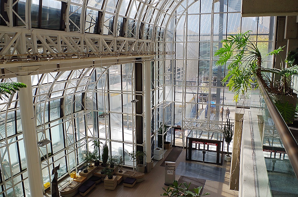 1232wc19
